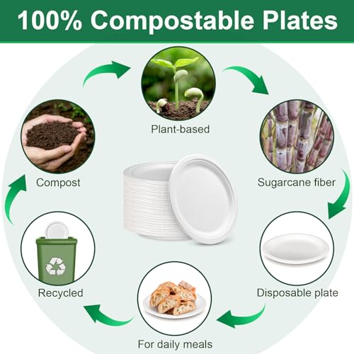 9 inch Disposable Paper Plates 500 Pack (9IN 500 Pcs)