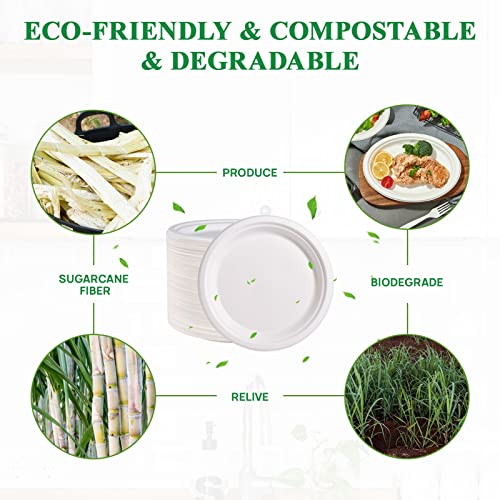 150 Pack Paper Plates 9 inch 100% Compostable (9 in White 150)