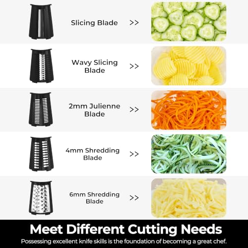 Rotary Cheese Grater 5 Blades (Black)
