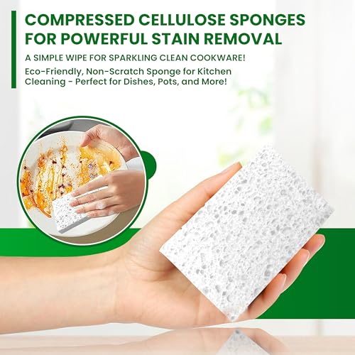 Cellulose Sponges (White)