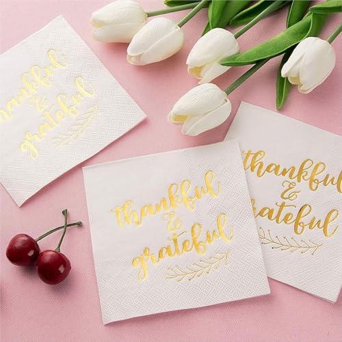 50 Pack Thanksgiving Cocktail Napkins Party Supplies Table Decorations (50 Pack)