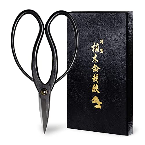 Hanafubuki Wazakura Bonsai Scissors Made in Japan 7inch (Traditional 7")