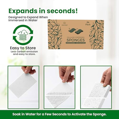 Cellulose Sponges (White)