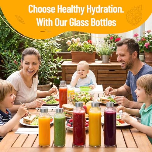 Clear Glass Bottles with Lids (Clear Glass Bottle 10Pack / 18oz)