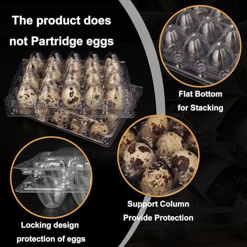 150 Pack Quail Egg Cartons (150 Pack Quail Egg Cartons 20 Grids)