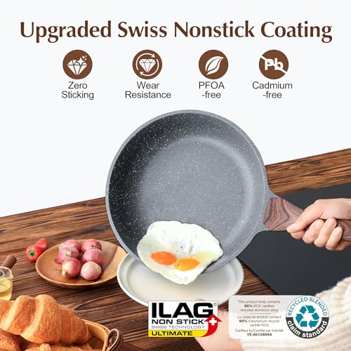 Nonstick Frying Pan Skillet (9.5 Inch / Gray)