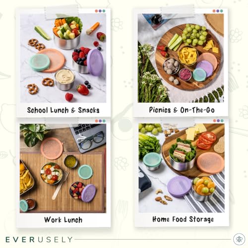 Stainless Steel Snack Containers (Semi-Clear)