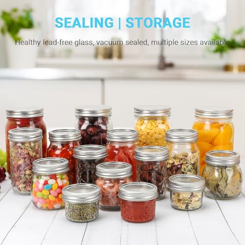 24 Pack 8 oz Clear Glass Mason Jars with Silver Metal Split Lids (8 oz - 24 Pack)