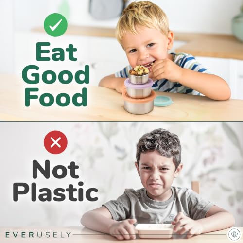 Stainless Steel Snack Containers (Semi-Clear)