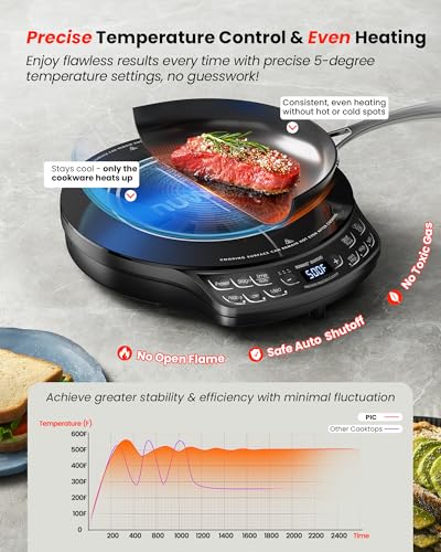Portable Induction Cooktop Diamond with Probe (PIC Diamond)