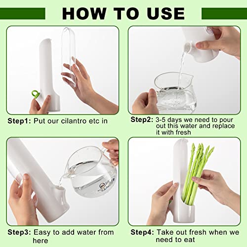 Herb Saver Pod Herb Keeper Vegetable Fresh Cilantro Containers for Refrigerator Keeping Bottle Herb Preserver for Mint Fridge Storage
