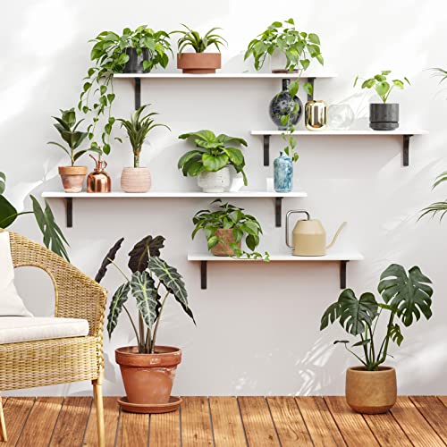 Long Wall Shelves (White / 31.5 Inch)