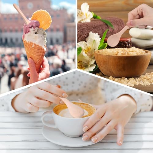 100 Pcs Small Wooden Spoons (100 Count)