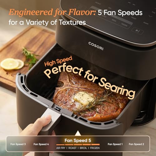 TurboBlaze Air Fryer (Air fryer / Dark Gray)