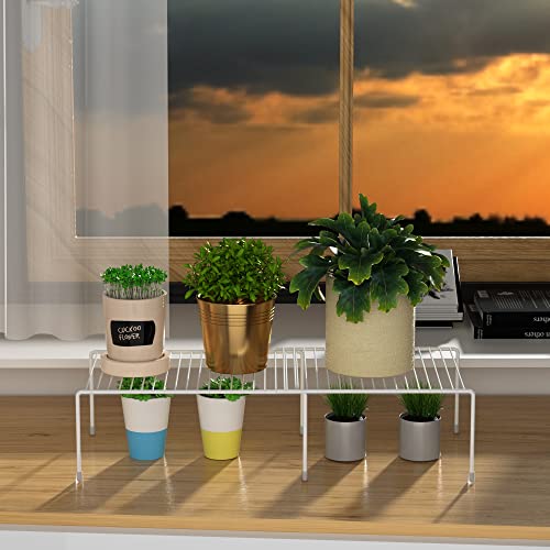 Cabinet Storage Shelf Rack (6 Count)