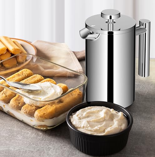 French Press Coffee Maker (20 oz / Silver)
