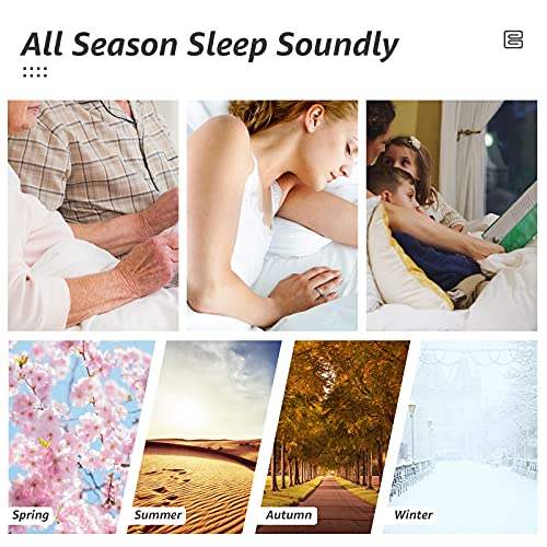 All Season King Size Bed Comforter (Black / King（90*102）)
