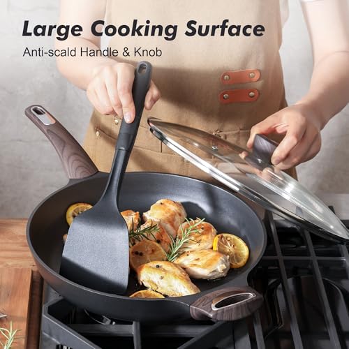 12.5inch Nonstick Frying Pan Paella Pan with Lid (12.5 Inch / NIGHT Black)