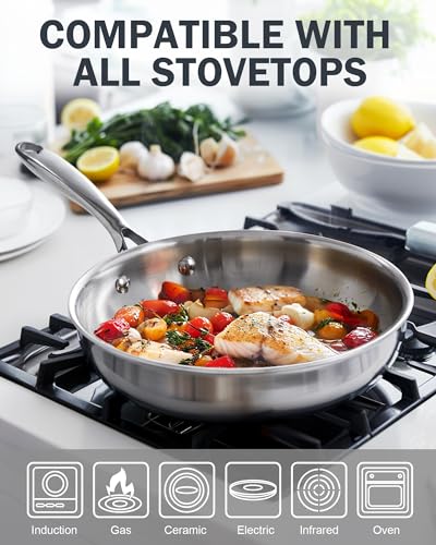 Multi Ply Clad Stainless Steel 10" Frying Pan (Silver / 10")