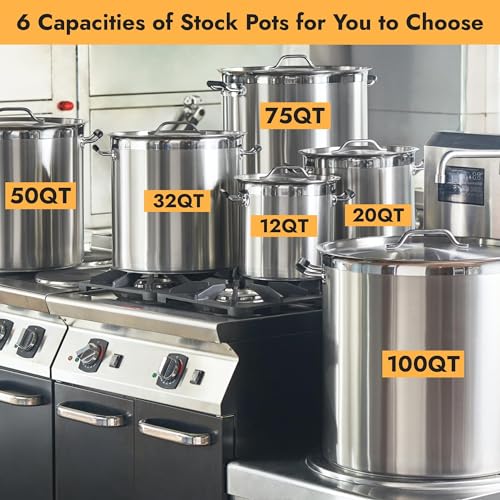 100 Quart Heavy Duty Stock Pot with Lid (100 Quarts)