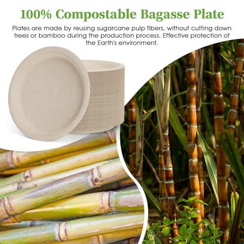 150 Pack 10 inch Compostable Disposable Paper Plates for Party (10in-150natura)