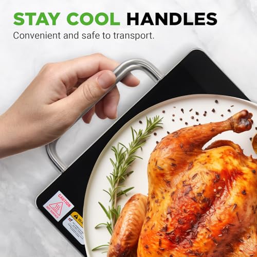 Large Electric Warming Tray (20 x 12 inches)