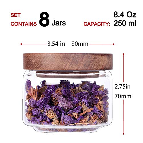 8 Pcs Spice Containers (clear)