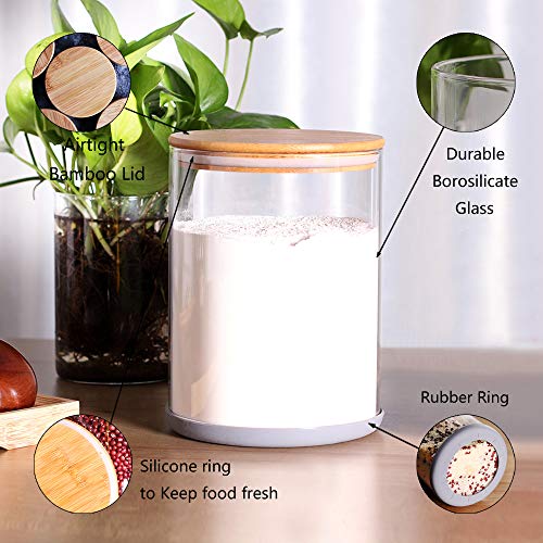 Set of 2 Large Glass Food Storage jar (5.9 IN - 2Pack)