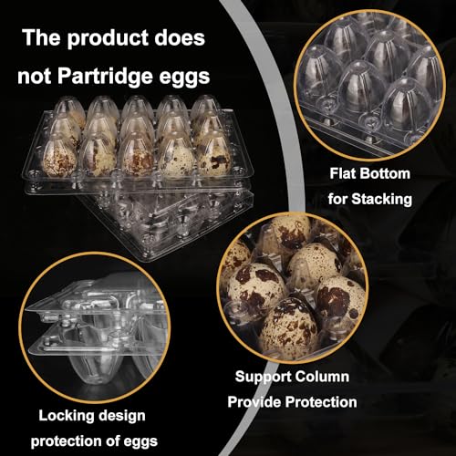 200 Pack Quail Egg Cartons (15 Grids)