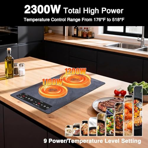 Double Induction Cooktop Portable Electric Cooktop 12'' Hot Plate (12 Inch Gray)