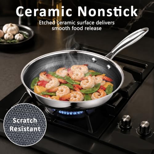 9.5" Hybrid Nonstick Frying Pan (9.5 inch)