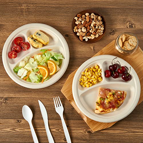 Compostable Paper Plates (3 Compartment 9 inch Nature)