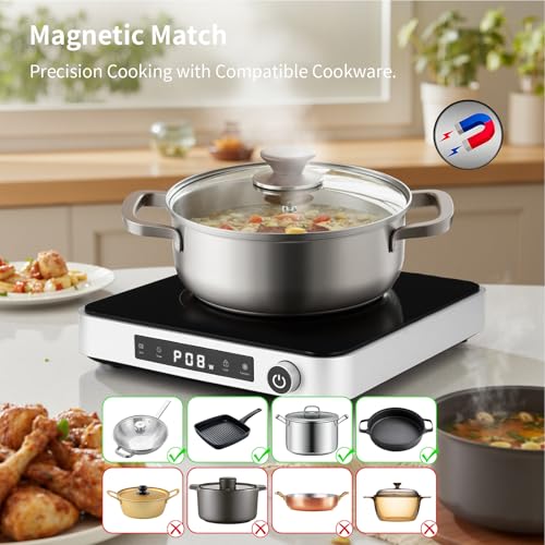 Portable Induction Cooktop with Griddle Pan (Single Induction Cooktop with Grill Pan)