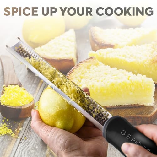Stainless Steel Cheese Grater & Lemon Zester w