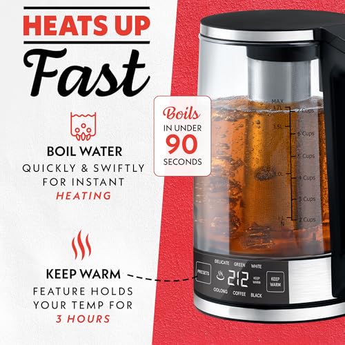 Electric Glass Kettle