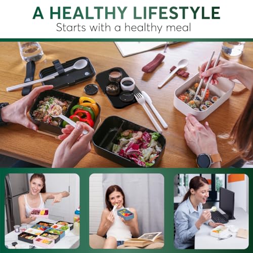 Bento Box Adult