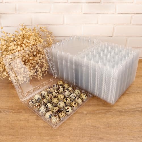 100 Pack Quail Egg Cartons (100 Pack Quail Egg Cartons 30 Grids)
