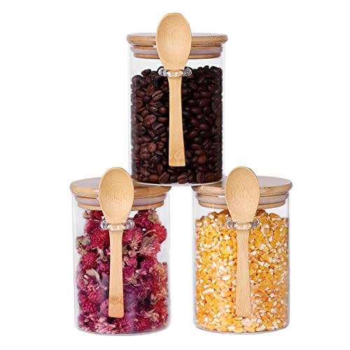 Glass Jar with Bamboo Lid and Spoon (Round/17oz*3/Bamboo Lid)