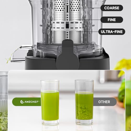 Cold Press Juicer (Silver / 5.4-inch)