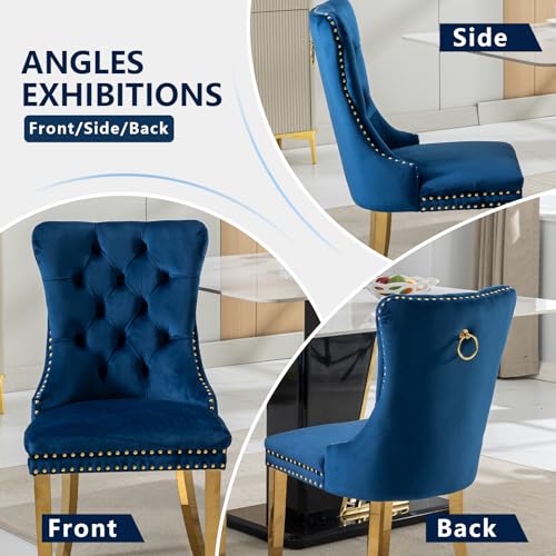 Blue Velvet Dining Chairs Set of 2 (Natural Blue)