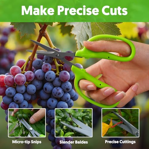 Garden Scissors (Straight Blade)