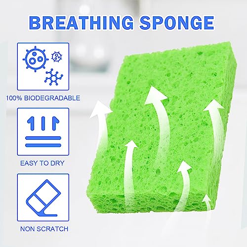 48 Pack Sponges Kitchen Natural Compressed Cellulose Sponges Durable Dish Sponge for Cleaning & DIY Reusable (48 Count)