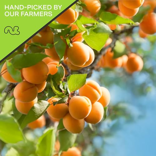 Dried Turkish Apricots (Dried Apricot / 48 oz)