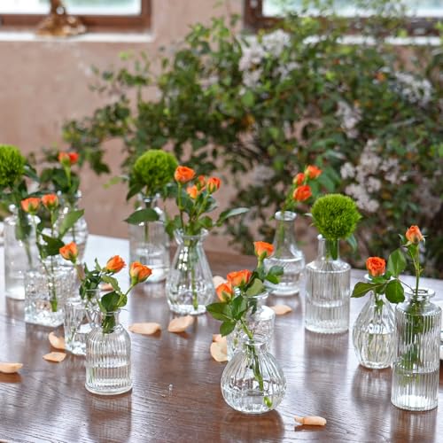 Glass Bud Vase Set of 33 Pcs Small Minimalist Vases for Flowers (Clear)