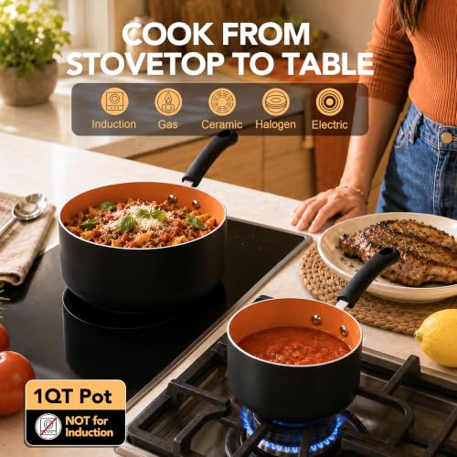 Nonstick Saucepan Set with Lids & Steamer (Silver / 1+2+3QT)