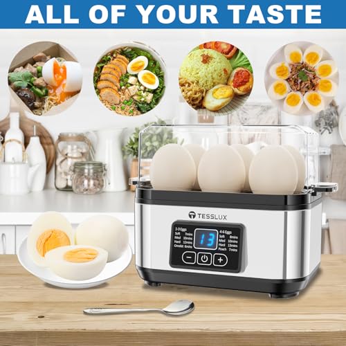 Electric Egg Cooker (Silver)