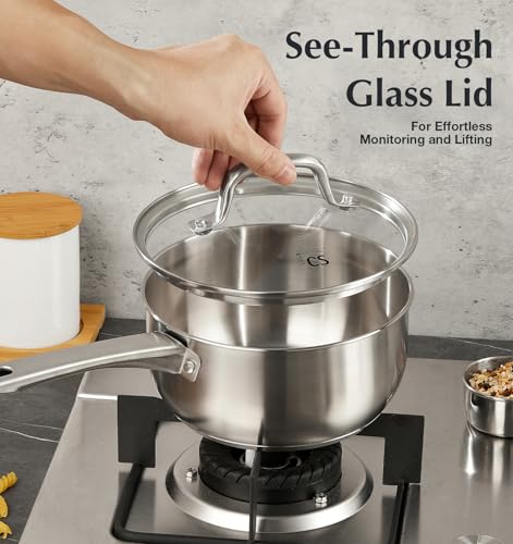 Stainless Steel Saucepan (Silver / 3 Quart)