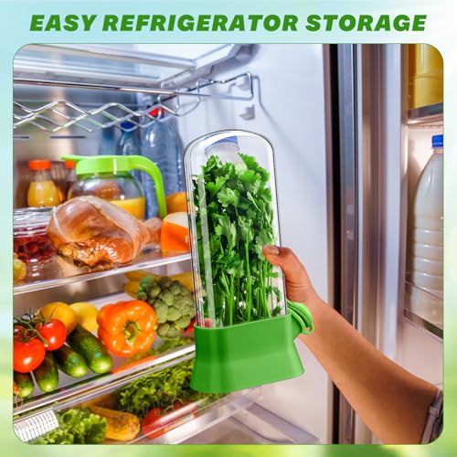 2 Pcs Herb Saver for Refrigerator Fresh Herb Keeper (Green)