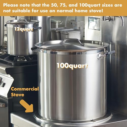 100 Quart Heavy Duty Stock Pot with Lid (100 Quarts)