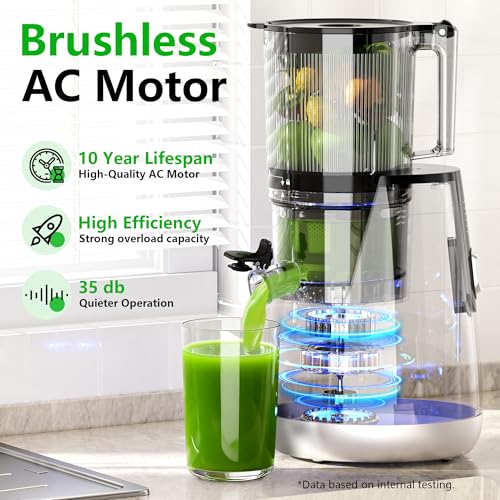 Cold Press Juicer (Silver)